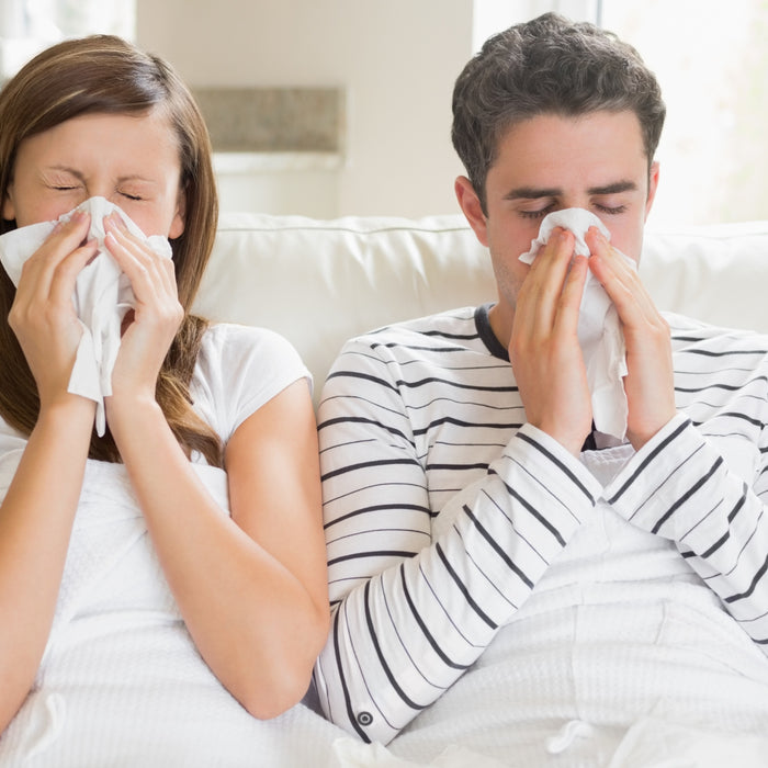 Diferenças entre Gripe e Constipação