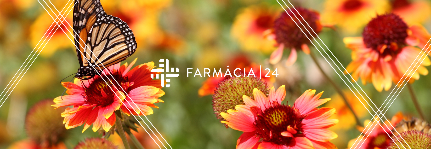 Guia Rápido: SOS alergias primaveris