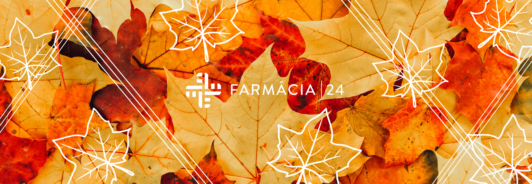 Cabelo a cair no Outono? Descubra como travar a queda e recuperar a força!