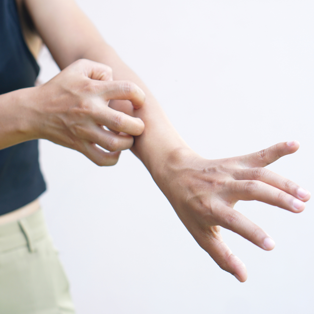 Fungos, Vírus e Parasitas