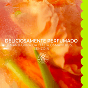 Roger&Gallet Fleur d'Osmanthus Gel Duche Bem-Estar Damasco 200ml