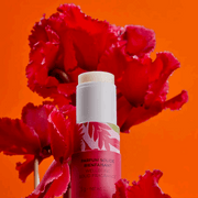 Roger&Gallet Gingembre Rouge Perfume Sólido Bem-Estar Gengibre Stick 5gr.