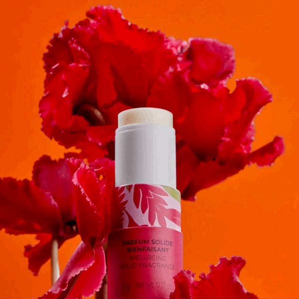 Roger&Gallet Gingembre Rouge Perfume Sólido Bem-Estar Gengibre Stick 5gr.