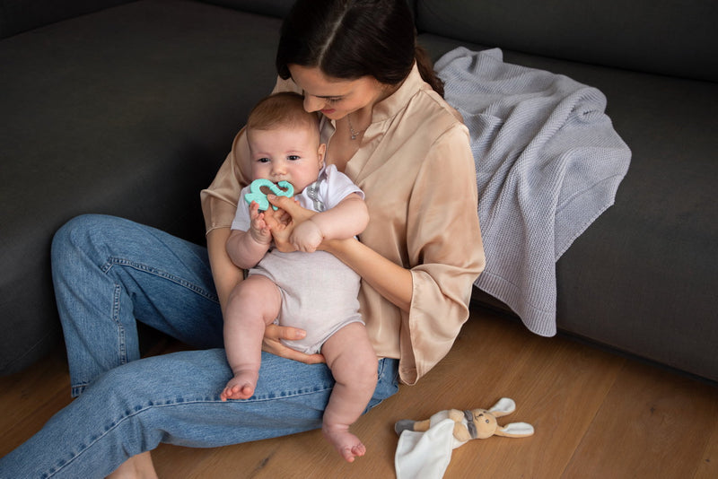 Chicco Anel Dentição Suave Iguana 2M+