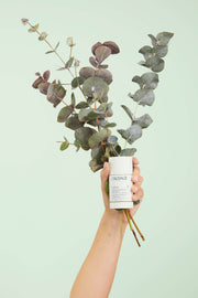 Caudalie Vinofresh Desodorizante Stick Natural 50gr
