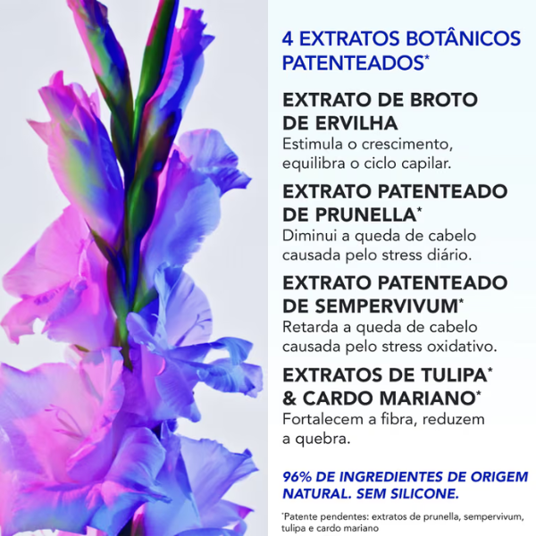 Phyto Phytophanere Pack Queda Reacional Ampolas x12 + OFERTA Champô 100ml