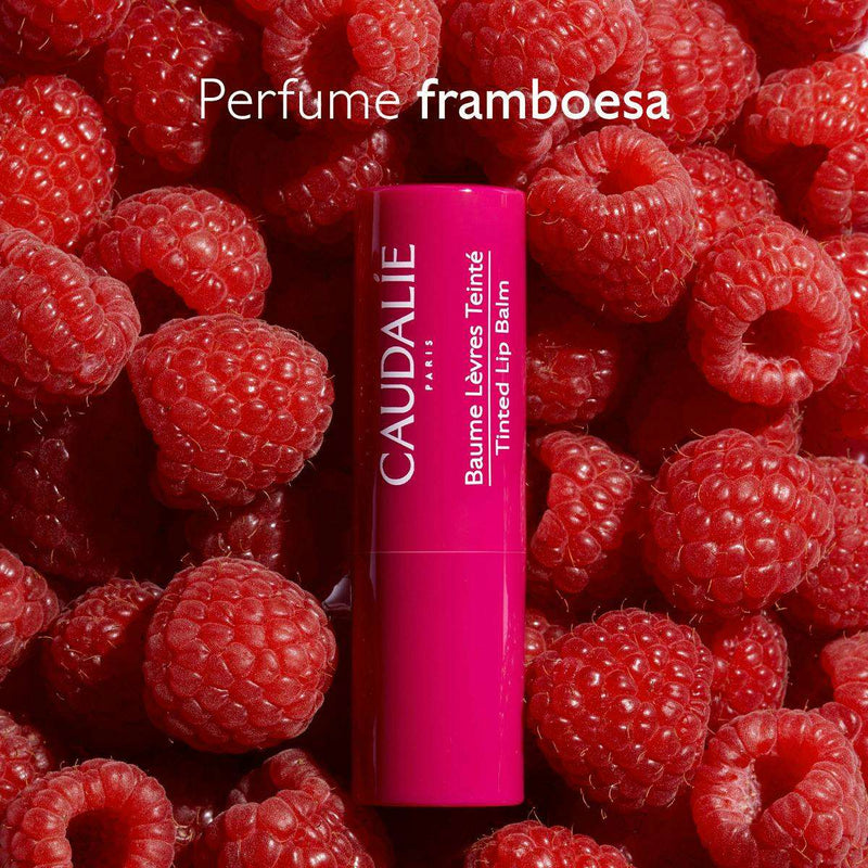 Caudalie Vinothérapist Bálsamo de Lábios c/Cor 4,5gr.