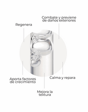 Segle Skin Factor Sérum Regenerador Anti-Envelhecimento Pele Sensível 30ml