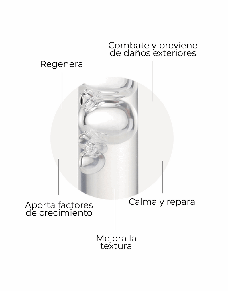 Segle Skin Factor Sérum Regenerador Anti-Envelhecimento Pele Sensível 30ml